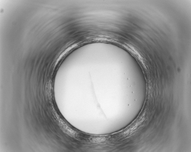 X0000086880798200705141409