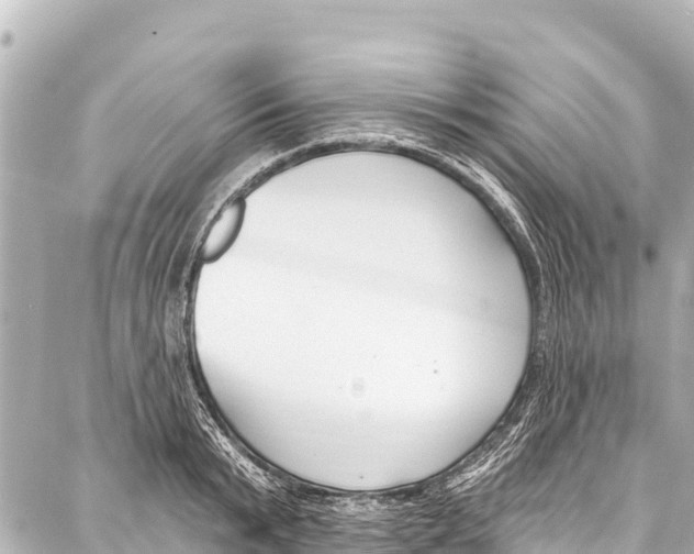 X0000086880799200705141409