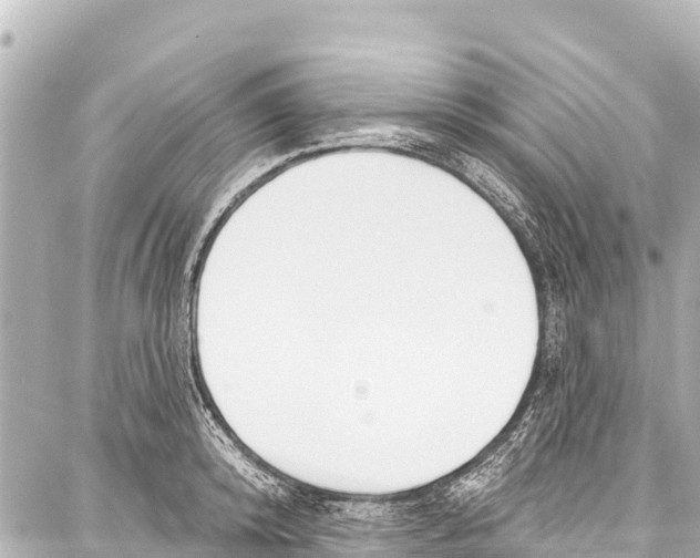 X0000086880800200705141409