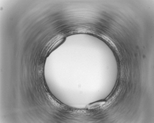 X0000086880801200705141409