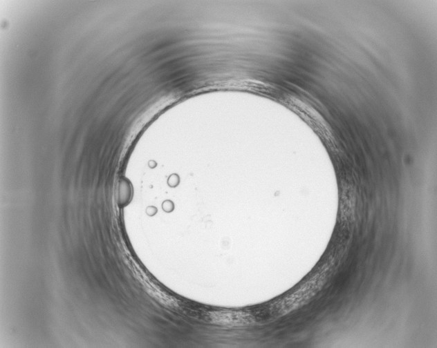 X0000086880804200705141409