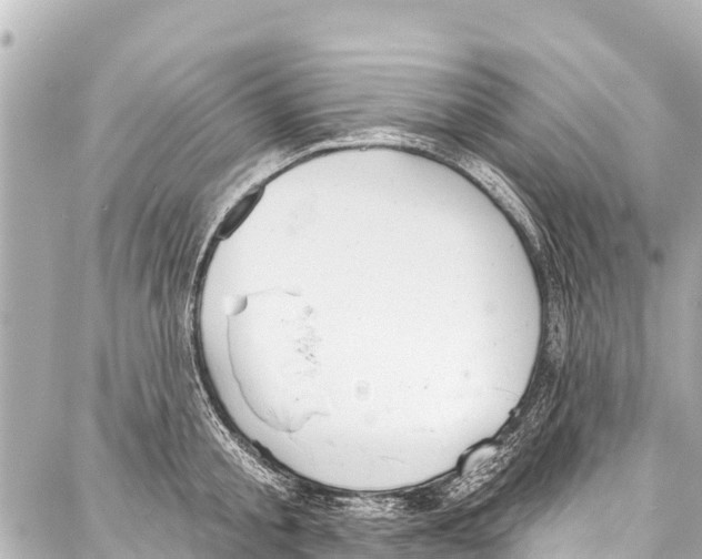 X0000086880805200705141409