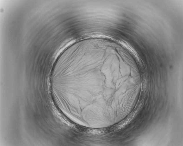 X0000086880806200705141409