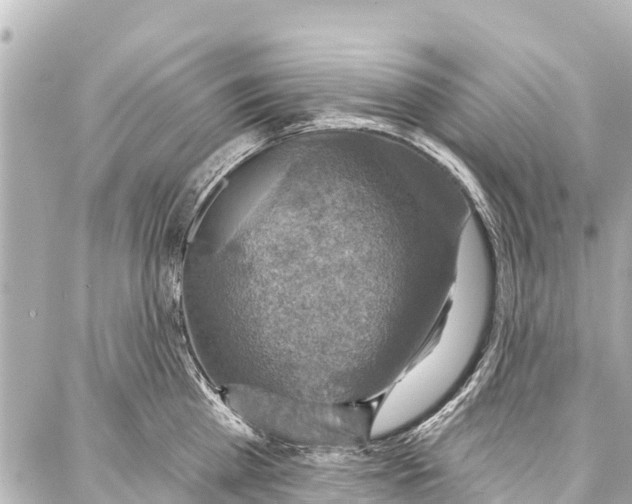 X0000086880809200705141409