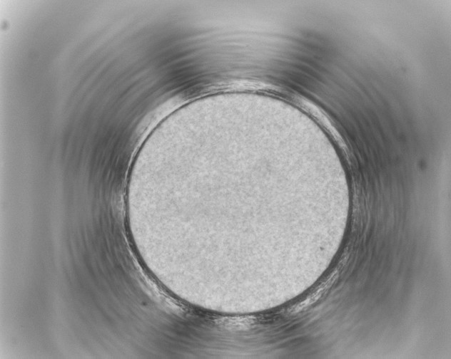 X0000086880810200705141409