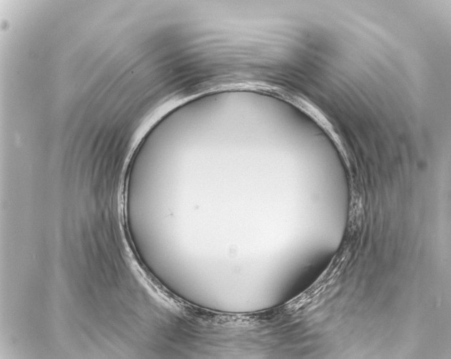 X0000086880811200705141409