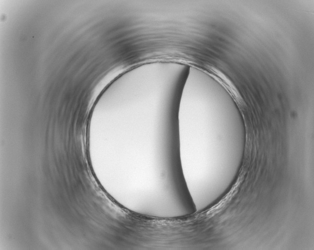 X0000086880812200705141409