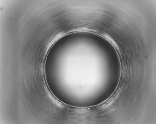 X0000086880813200705141409