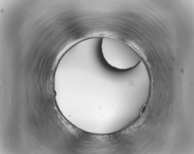 X0000086880816200705141409