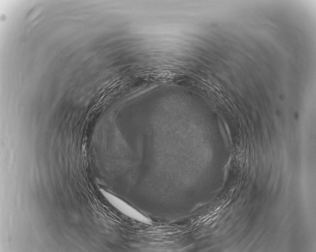 X0000086880818200705141408