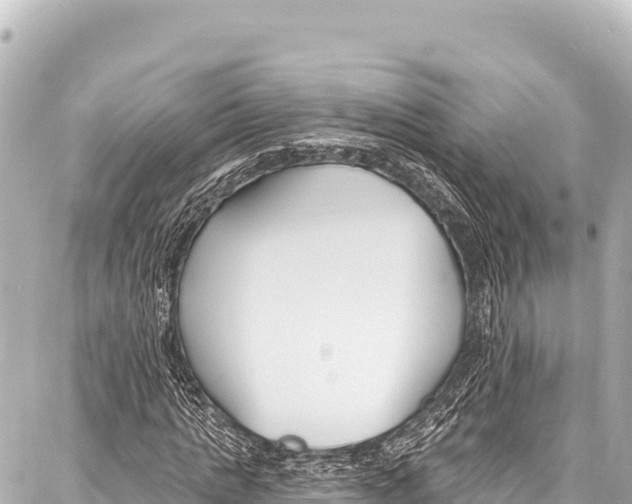 X0000086880821200705141408