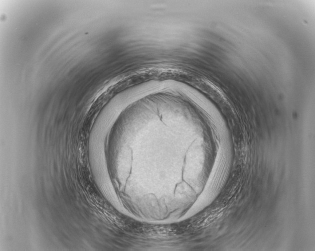 X0000086880823200705141408