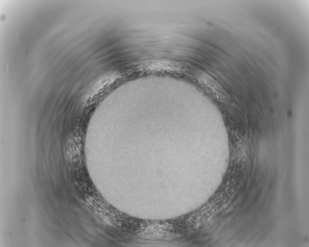 X0000086880824200705141408