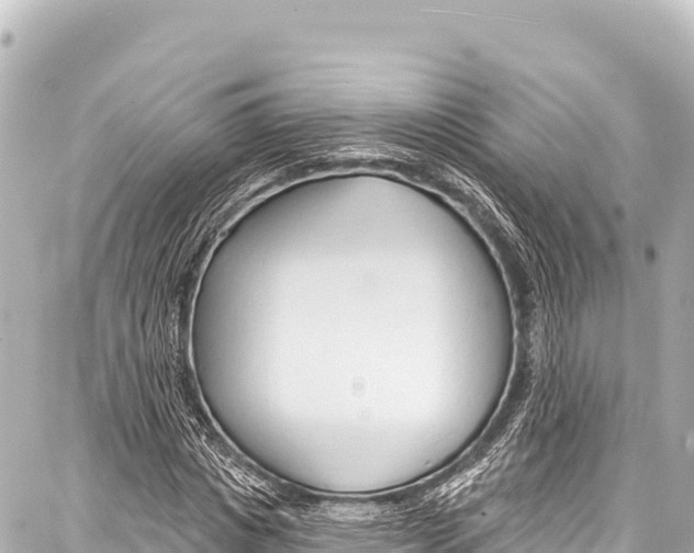 X0000086880825200705141408