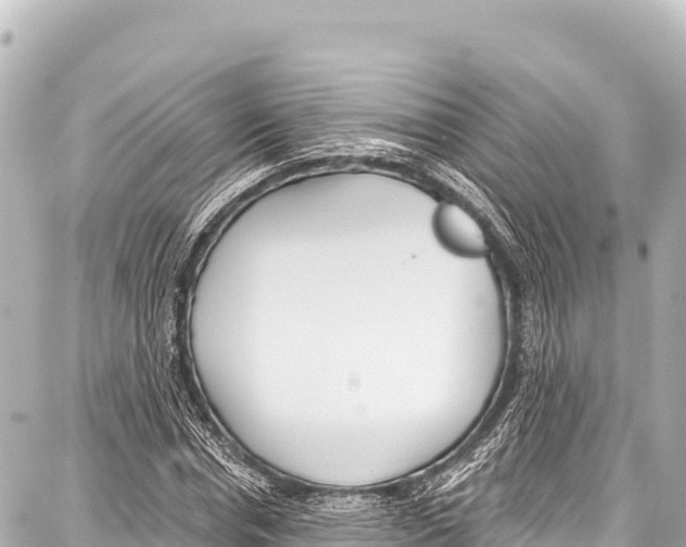 X0000086880826200705141408