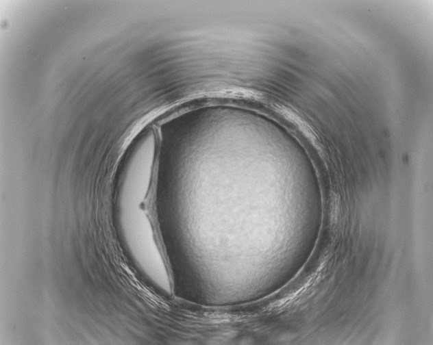 X0000086880829200705141408