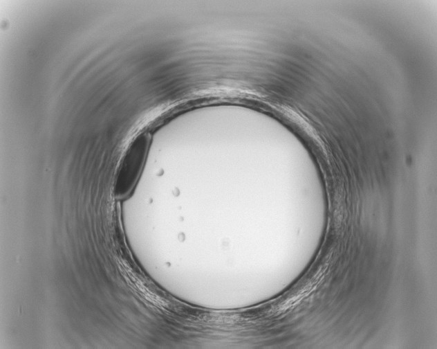 X0000086880831200705141408