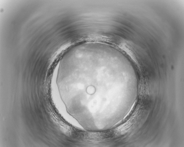 X0000086880832200705141408