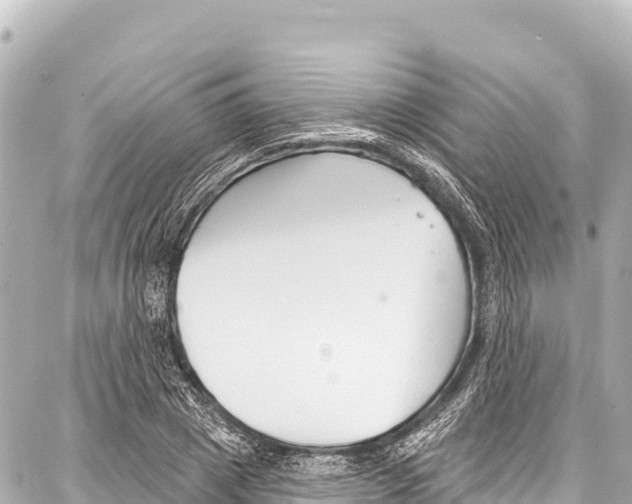 X0000086880833200705141408