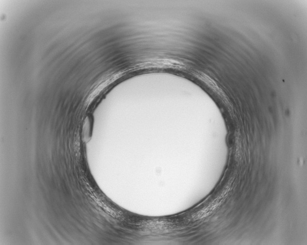 X0000086880834200705141408