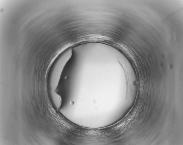 X0000086880835200705141408