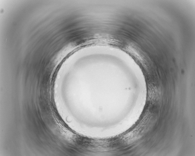 X0000086880836200705141408