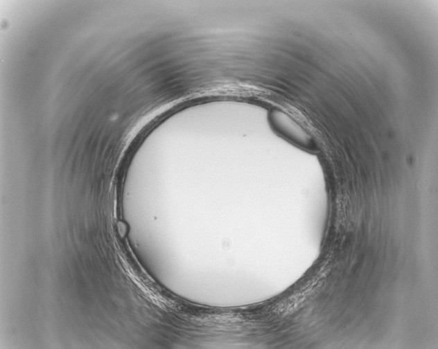 X0000086880838200705141408