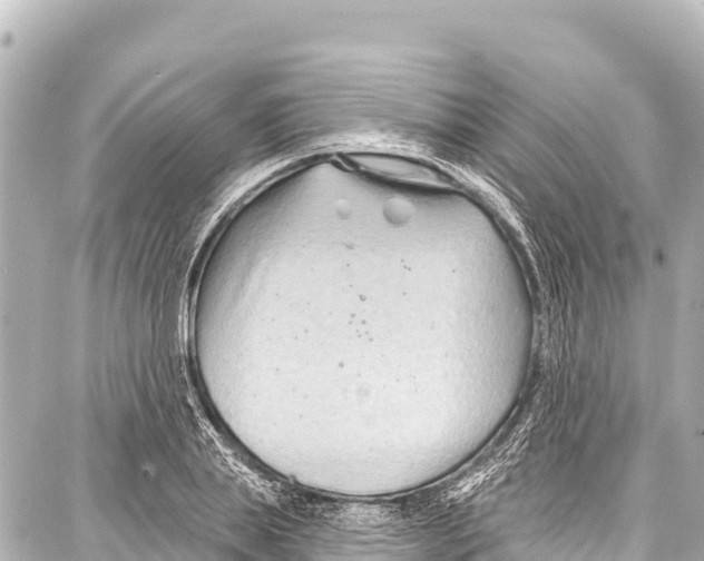 X0000086880839200705141408