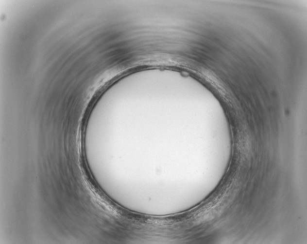 X0000086880840200705141408