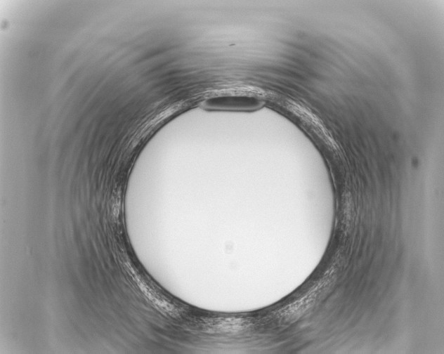 X0000086880841200705141408