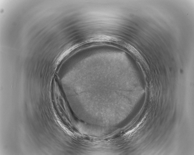 X0000086880842200705141408