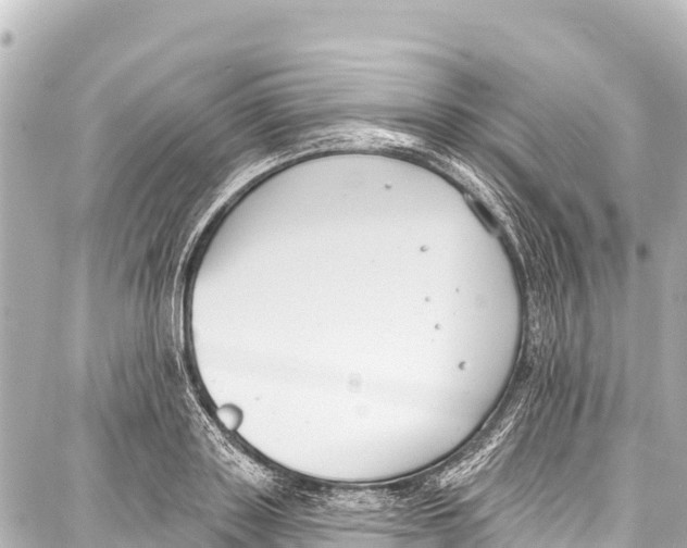 X0000086880843200705141408