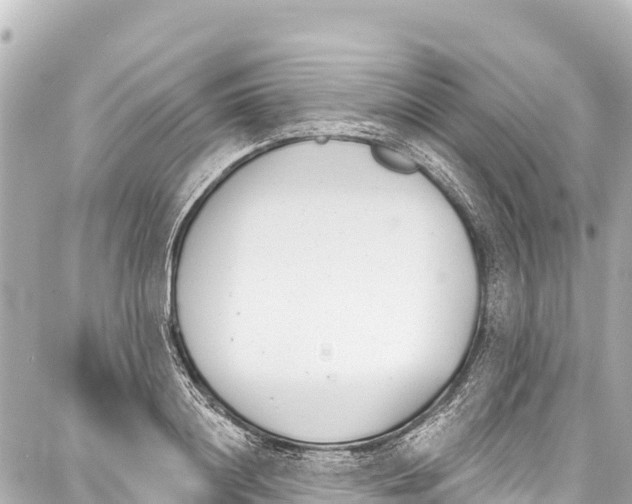 X0000086880844200705141408