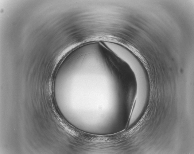 X0000086880846200705141408