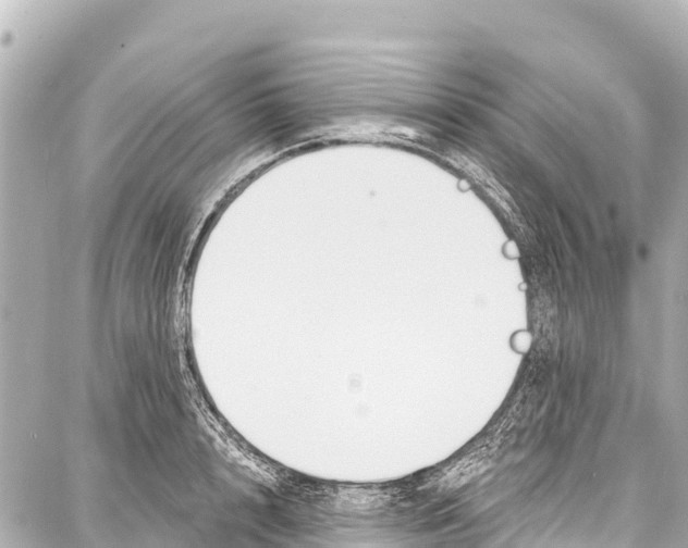 X0000086880848200705141408