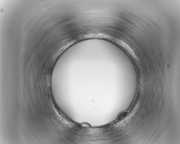 X0000086880849200705141408