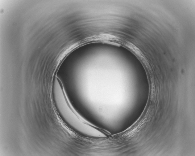 X0000086880850200705141408