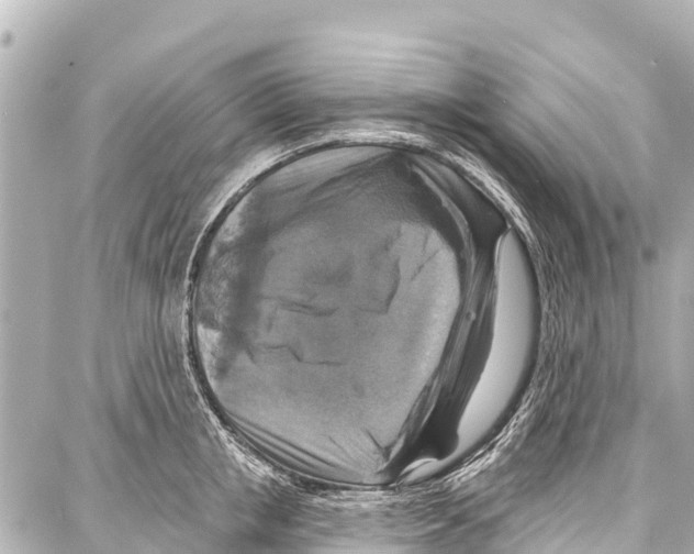 X0000086880853200705141408