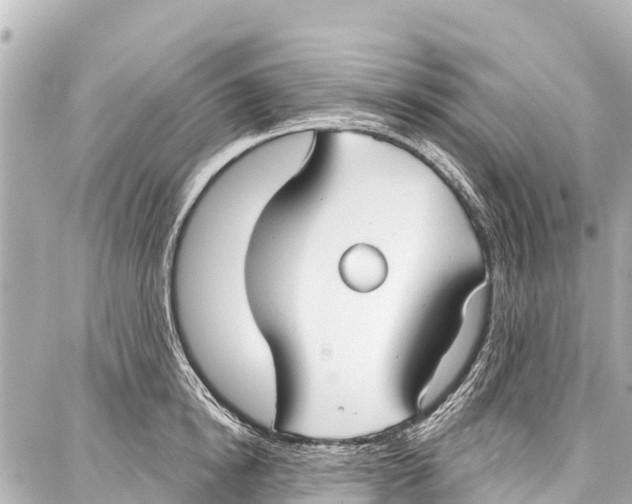 X0000086880854200705141408