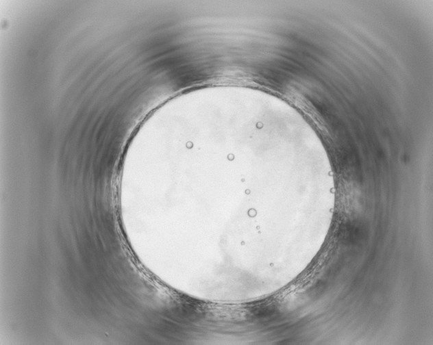 X0000086880856200705141408