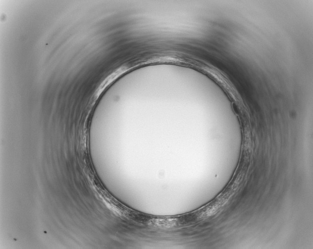 X0000086880858200705141408