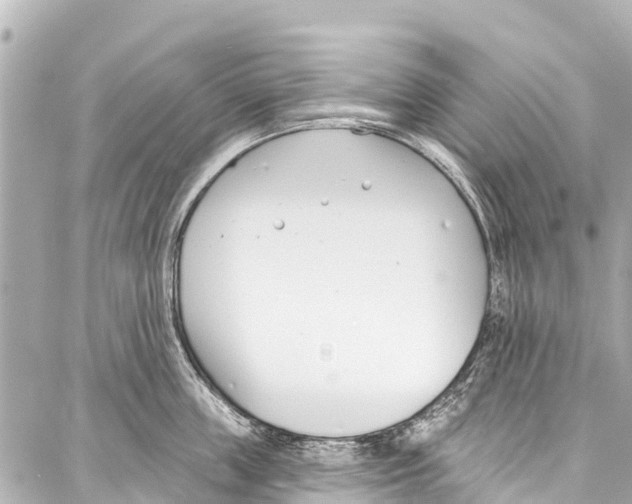 X0000086880859200705141408