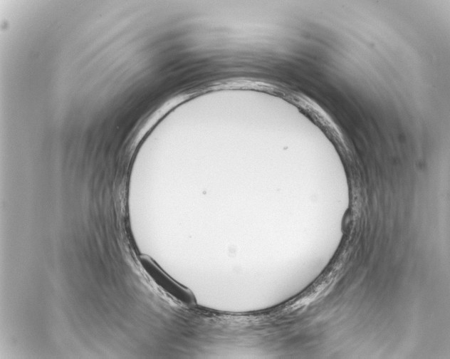 X0000086880860200705141408