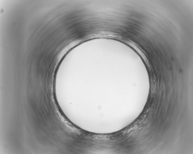 X0000086880861200705141408