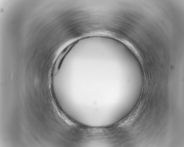 X0000086880862200705141408