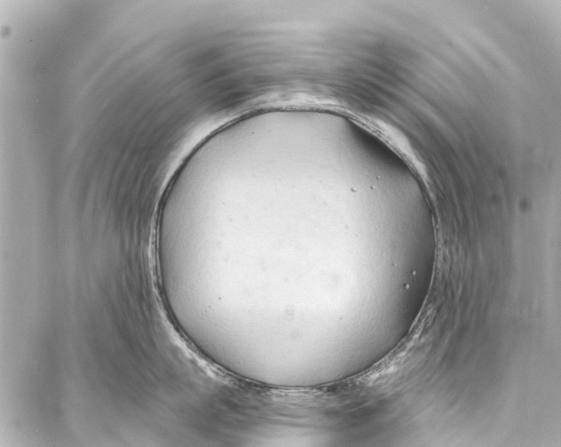 X0000086880863200705141408