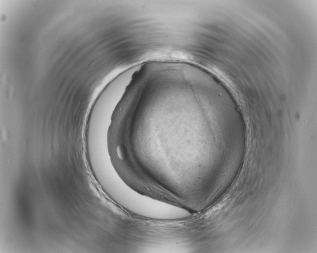 X0000086880864200705141409