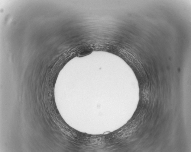 X0000086880865200705141408