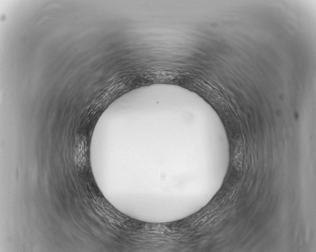 X0000086880866200705141408