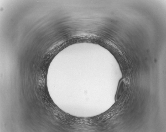 X0000086880869200705141408